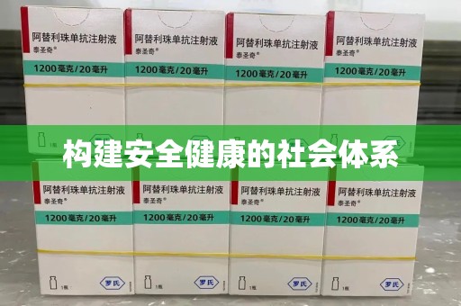 银川构建安全健康的社会体系