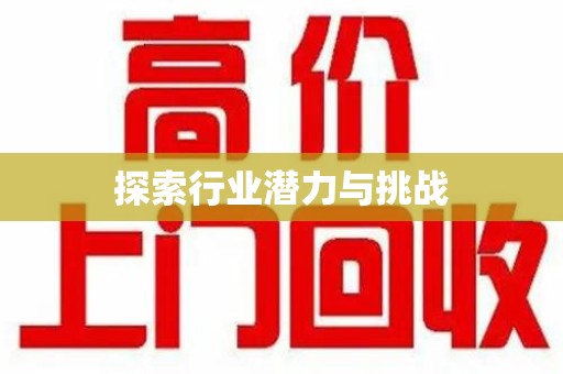 银川探索行业潜力与挑战