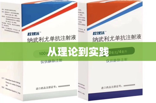 银川从理论到实践