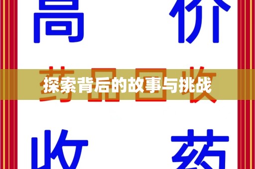 银川探索背后的故事与挑战