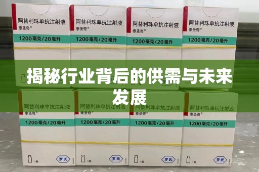 银川揭秘行业背后的供需与未来发展