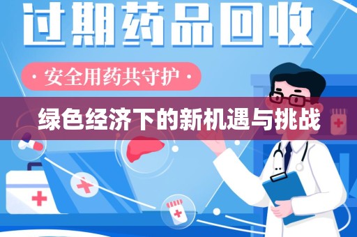银川绿色经济下的新机遇与挑战