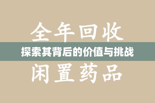 银川探索其背后的价值与挑战