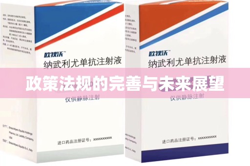 银川政策法规的完善与未来展望