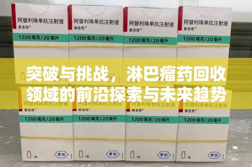 银川突破与挑战，淋巴瘤药回收领域的前沿探索与未来趋势