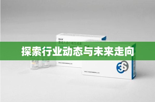 银川探索行业动态与未来走向