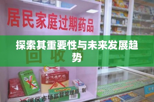 银川探索其重要性与未来发展趋势