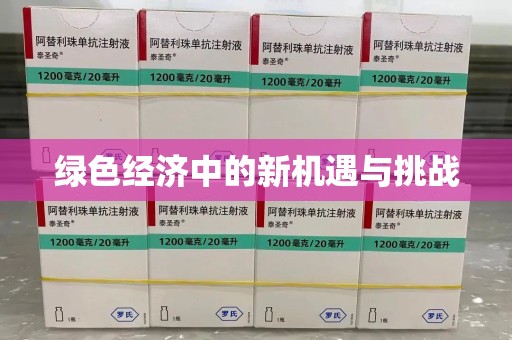 银川绿色经济中的新机遇与挑战