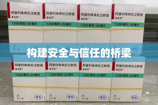 银川构建安全与信任的桥梁