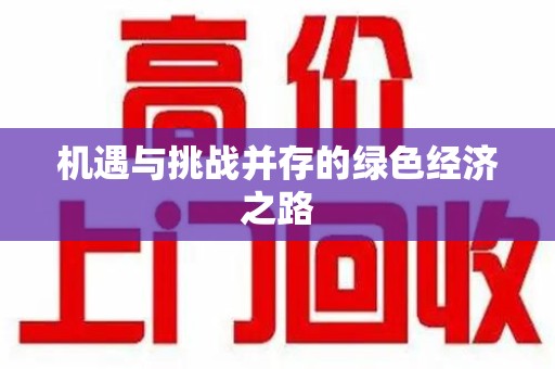 银川机遇与挑战并存的绿色经济之路