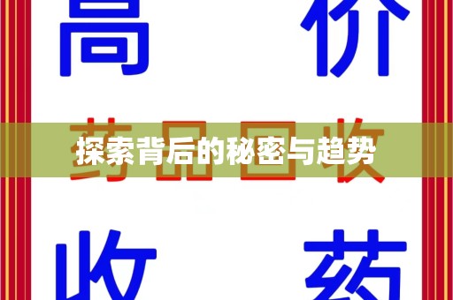 银川探索背后的秘密与趋势