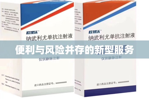 银川便利与风险并存的新型服务