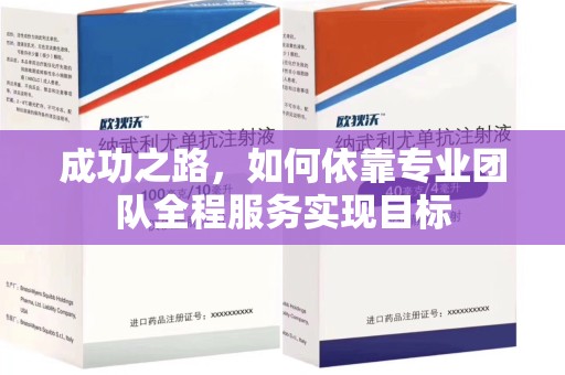 银川成功之路，如何依靠专业团队全程服务实现目标