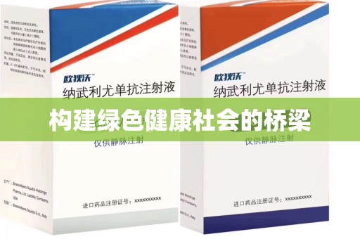 银川构建绿色健康社会的桥梁