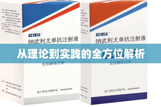 银川从理论到实践的全方位解析
