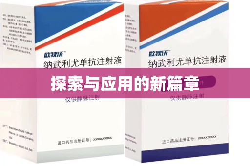 银川探索与应用的新篇章